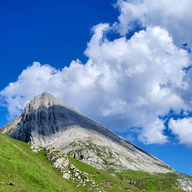 Allgäu-Vinschgau Alpen (3)