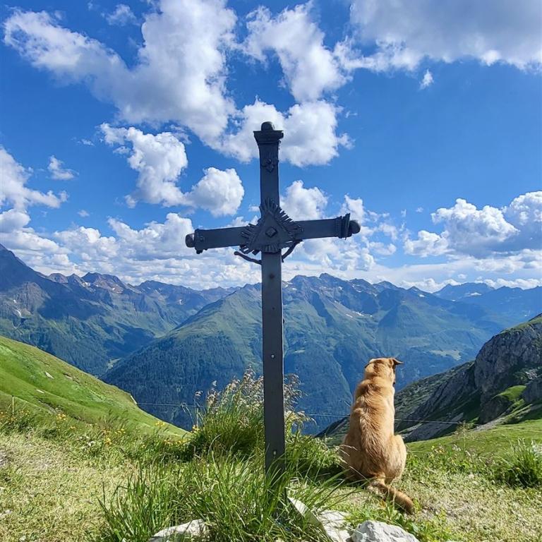 Allgäu-Vinschgau Alpen (4)