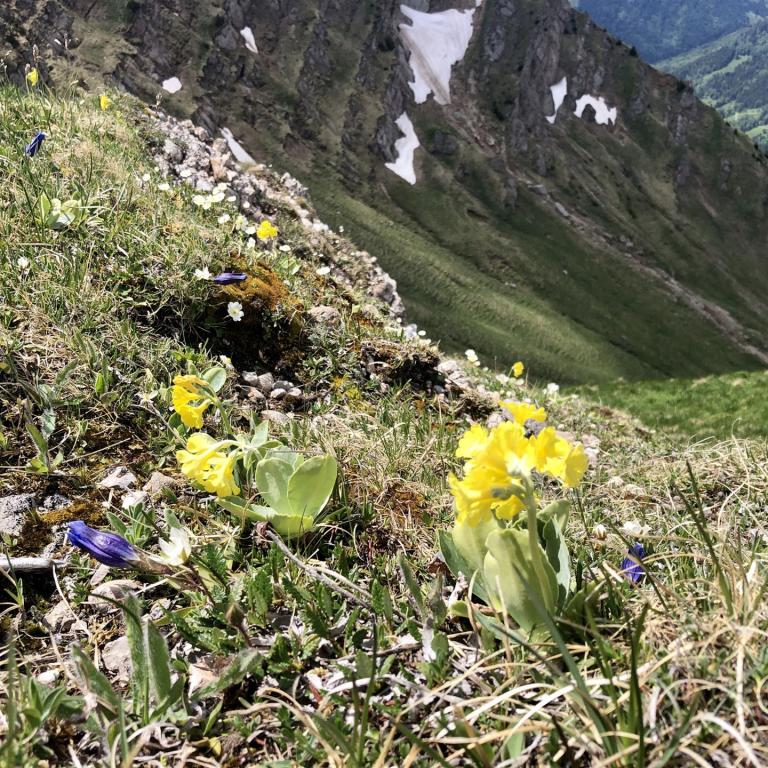 Allgäu Alpenüberquerung E5
