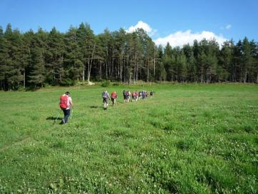 E5 Bozen - Trient: im Moos