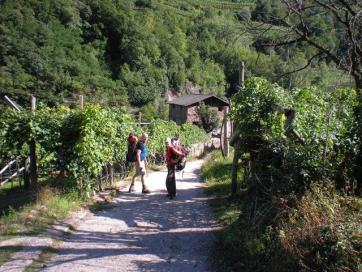 E5 Bozen - Trient: Abstieg nach Cembra