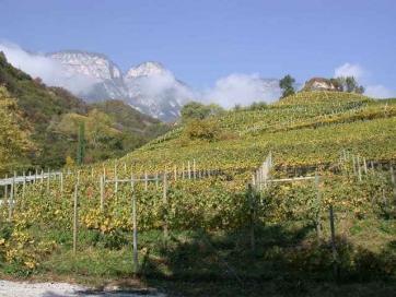 E5 Bozen - Trient: Albrecht Dürer Weg 