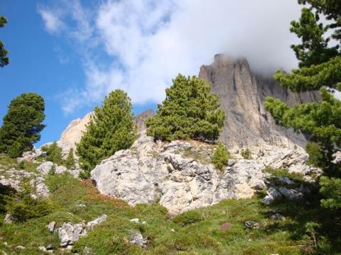 Dolomiten Durchquerung Wanderwoche: am Sellajoch