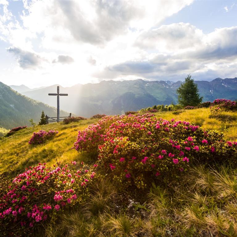 Gsiesertal Standort Wanderwoche (7)
