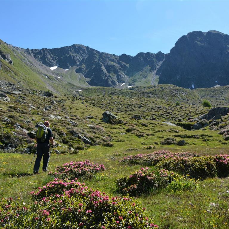 Standort Wanderwoche Gsiesertal: Wandern pur