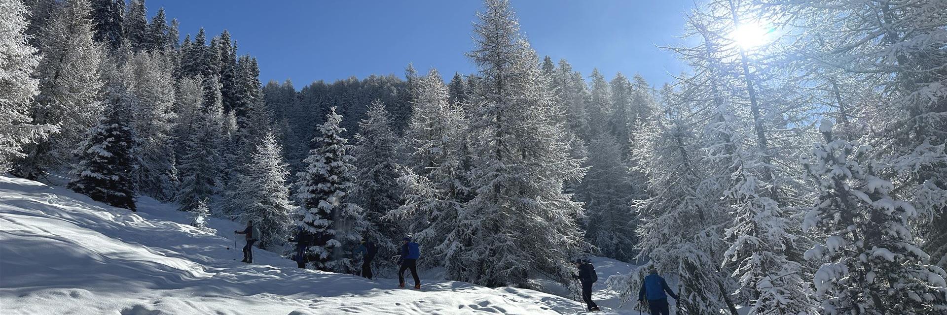 Skitourenwoche im Gsiesertal (4)