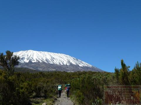 Kilimanjaro Besteigung - Genießen auf der 2. Etappe