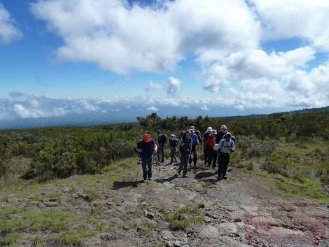 Kilimanjaro Besteigung - Gruppenaufstieg