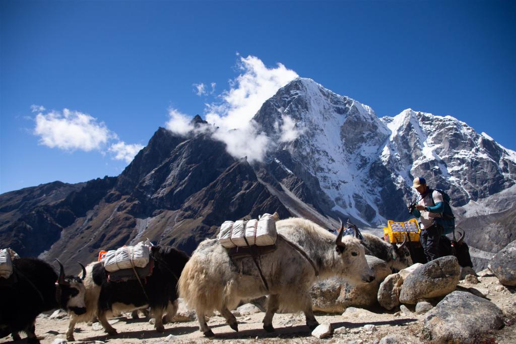 Trekking in Nepal