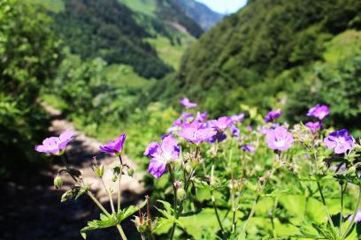 E5 Alpenüberquerung Bergschule Oberallgäu: Rückblick