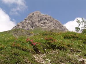 E5 Alpenüberquerung Bergschule Oberallgäu: Muttler