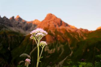 E5 Alpenüberquerung Bergschule Oberallgäu: Abendrot