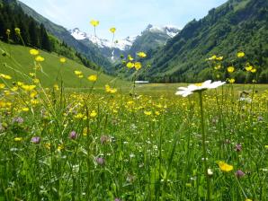 E5 Alpenüberquerung Bergschule Oberallgäu: Blumenwiese Spielmannsau