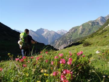 E5 Alpenüberquerung Bergschule Oberallgäu: Abstieg ins Lechtal