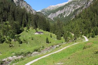 E5 Alpenüberquerung Bergschule Oberallgäu: Holzgau Forstweg