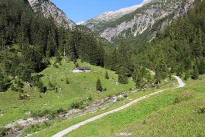 E5 Alpenüberquerung Bergschule Oberallgäu: Holzgau Forstweg