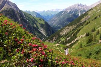 E5 Alpenüberquerung Bergschule Oberallgäu: Rückblick von der Memminger Hütte