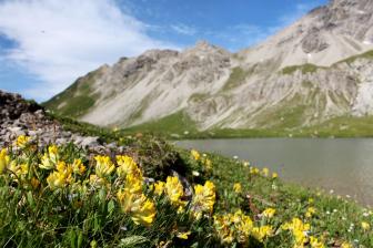 E5 Alpenüberquerung Bergschule Oberallgäu: See an der Memminger Hütte