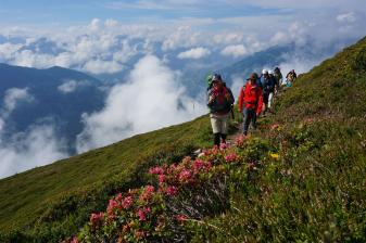 E5 Alpenüberquerung Bergschule Oberallgäu: Alpenrosenblüte Panoramaweg