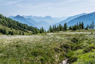 E5 Alpenüberquerung Bergschule Oberallgäu: Hochmoor über den Galfunalm