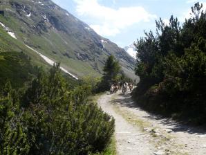 E5 Alpenüberquerung Bergschule Oberallgäu: Aufstieg Niedertal