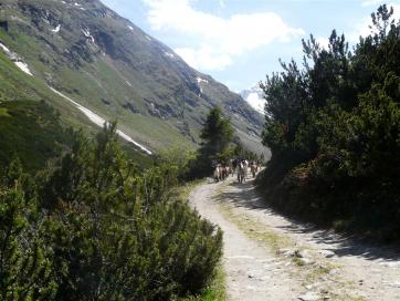 E5 Alpenüberquerung Bergschule Oberallgäu: Aufstieg Niedertal