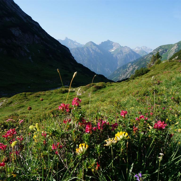Alpenüberquerung 50 Plus: Mädelejoch
