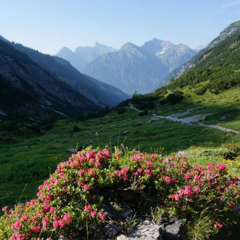 Vorbereitung Alpenüberquerung - Infowochenende und Vorbereitungskurs: Zu Fuß über die Alpen