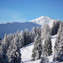 Schneeschuh-Wochenende Allgäuer Alpen
