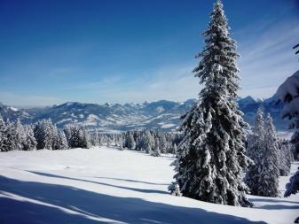 Schneeschuhwandern Hörnerkette: Winterlandschaft