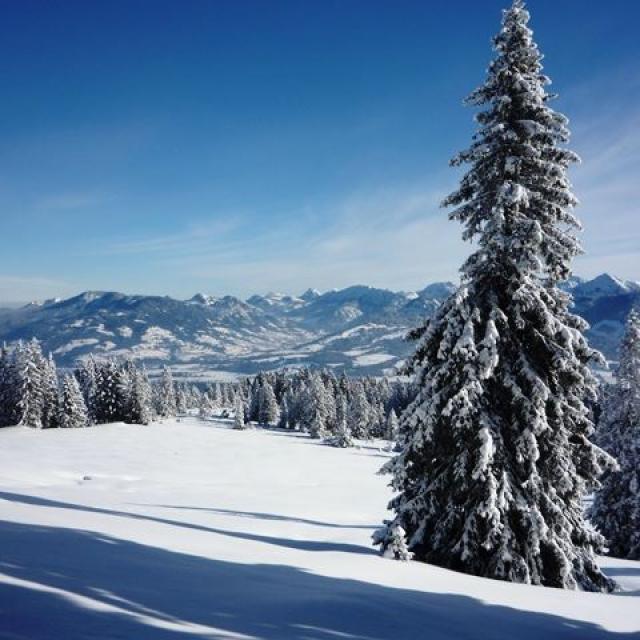 Schneeschuhwandern Hörnerkette: Winterlandschaft