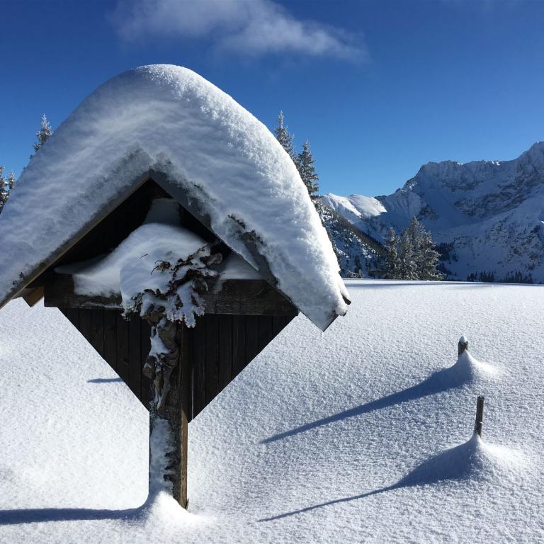 Skitourenkurs im Allgäu: Sonntenkopf