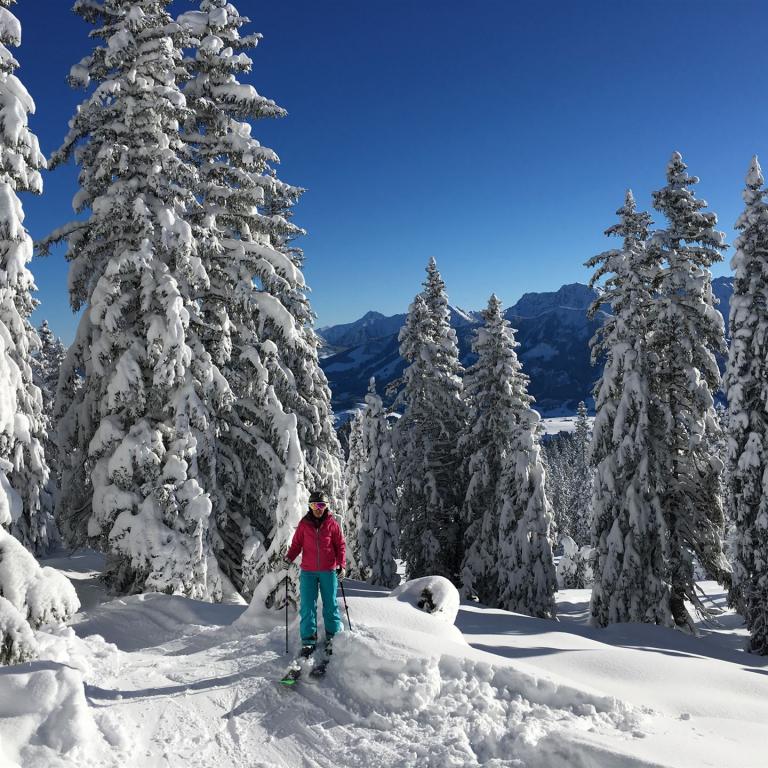 Skitouren gehen lernen - der Wochenkurs: Faszination Winter und Tourengehen