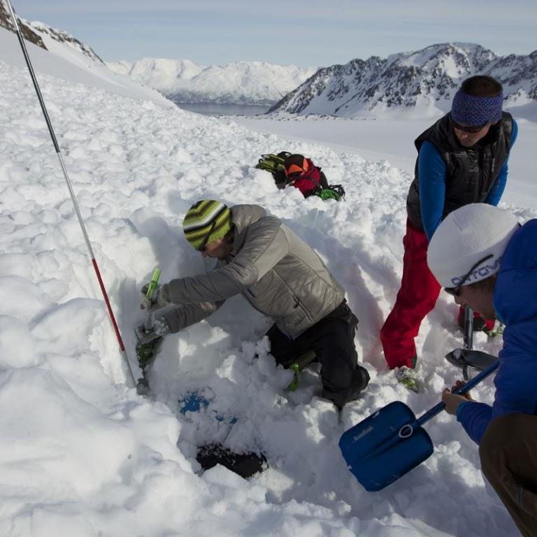 Ortovox Safety Basic Schneeschuh  Bergschule Oberallgäu - Ausgraben