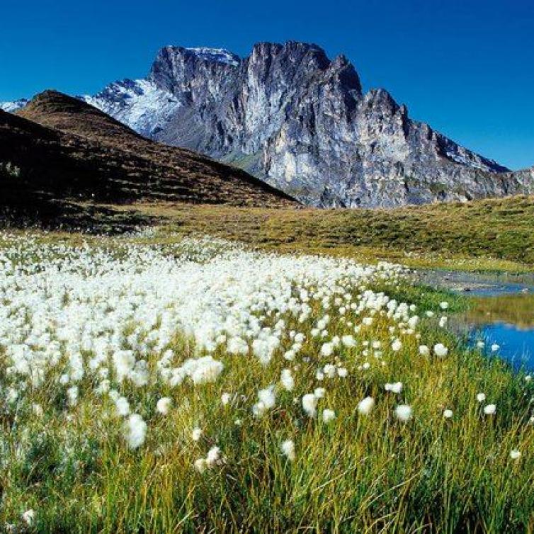 Zillertal Durchquerung auf dem Berliner Höhenweg: Bergsee