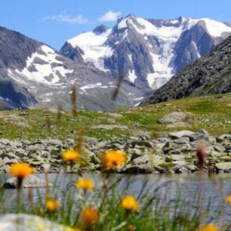 Zillertal Durchquerung auf dem Berliner Höhenweg: Bergkulisse